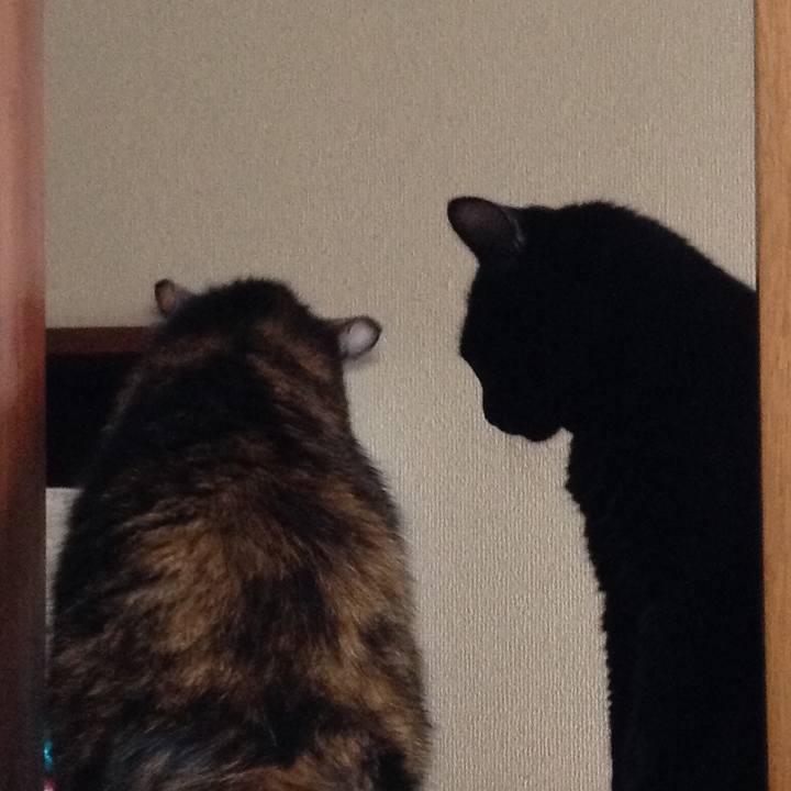 47cfd950 343d 451d 8388 60f791ef4050