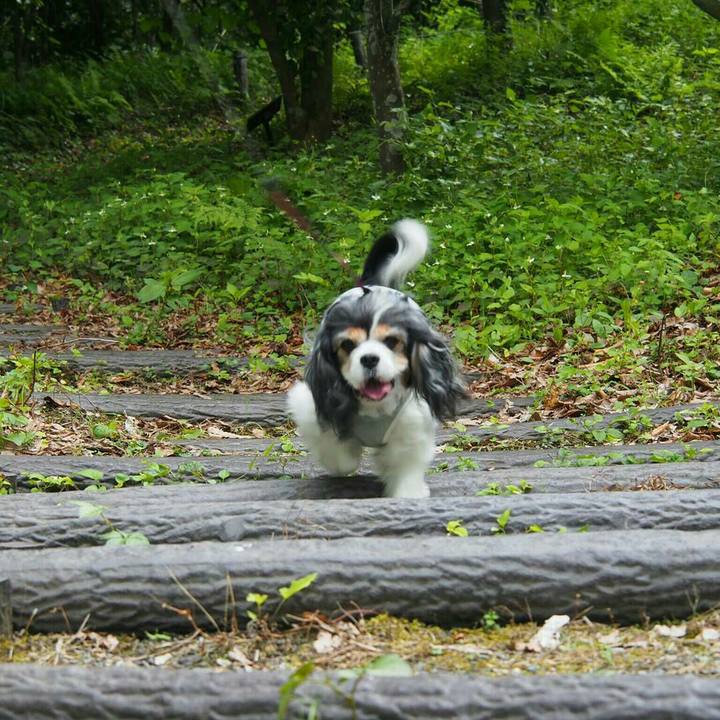 47cfded6 2f30 41ad 8c61 e66bd4604b79