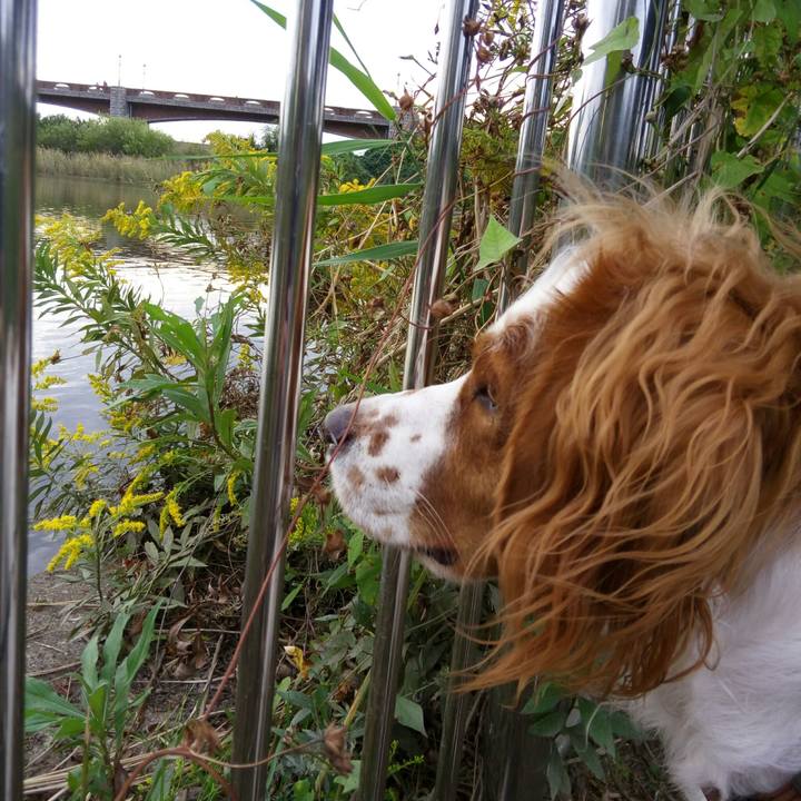 47d0c020 6c2b 4de1 9bf3 9efbb1f85d75