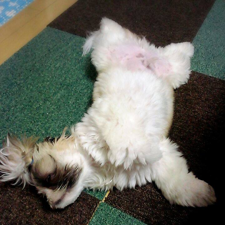 47d0d19f ab87 4588 aff5 7290fcfff266