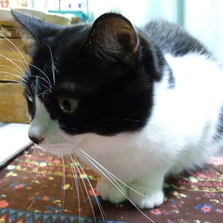 47d14e6a 62dd 48ba 89b0 b00f5aa7b6c3