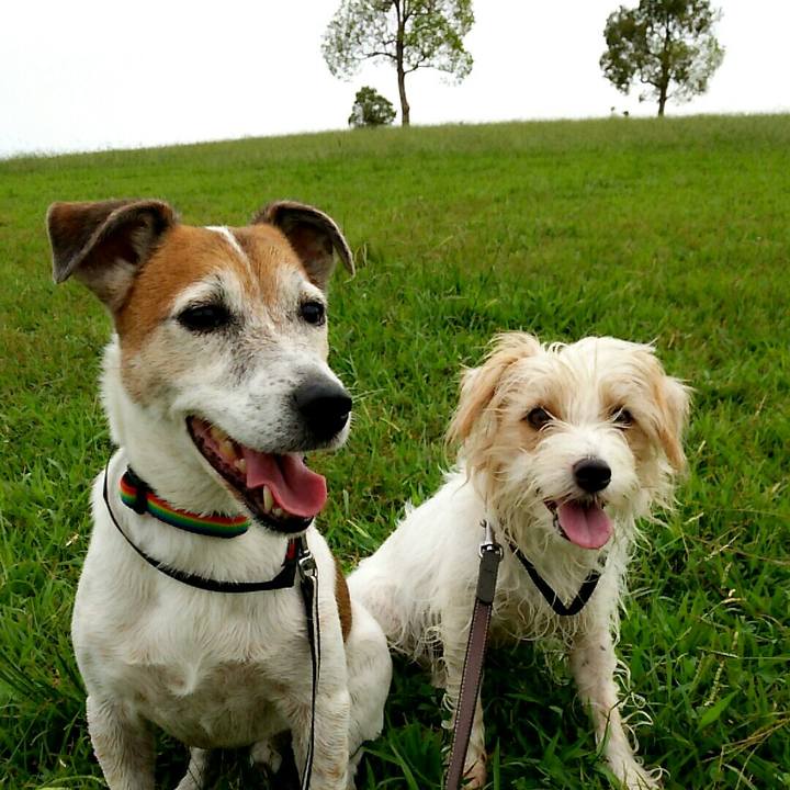 47d1cfae 7092 4ec3 bc2a 44dd29967304