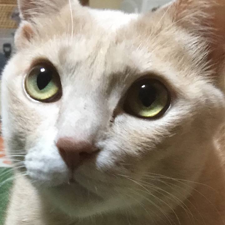 47d27462 1084 4230 8516 391b5b91462c