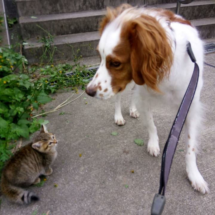 47d2d417 a43c 40b4 b6ac 982f5f4b924b