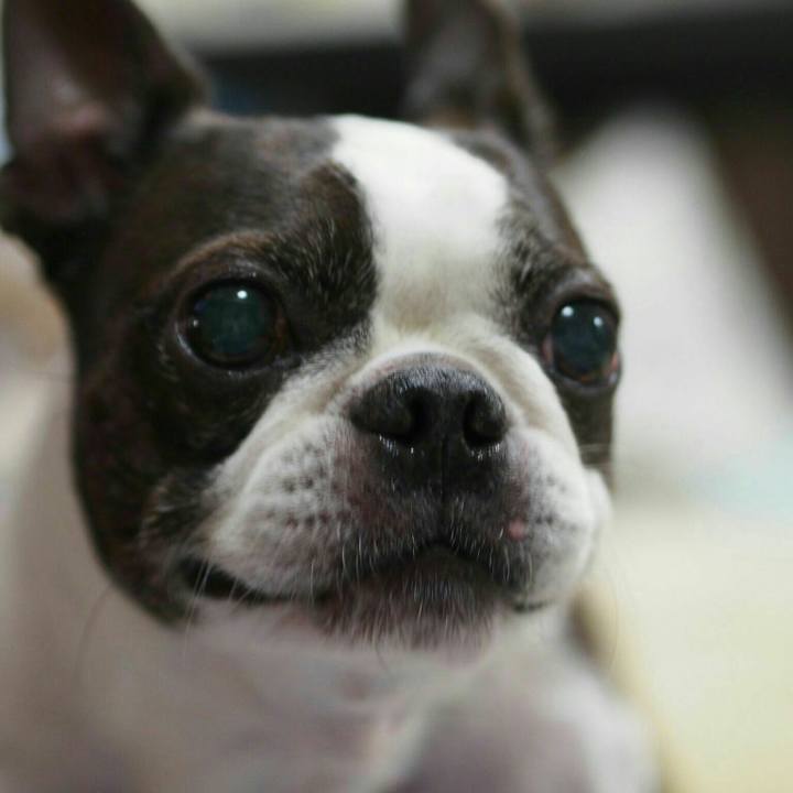 47d2ec84 3717 4bcb a7c5 e930130fad2d