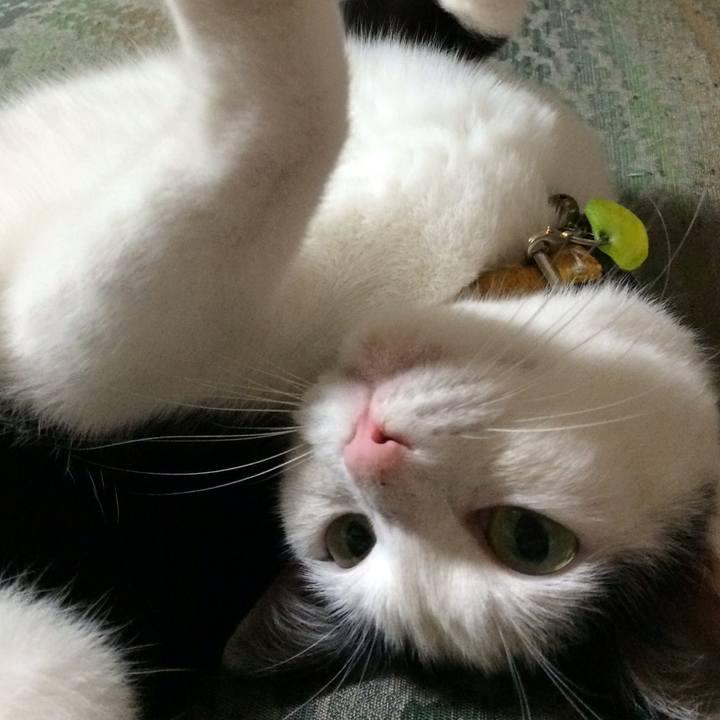 47d3594e c7c7 4987 b7d6 960efdad9228