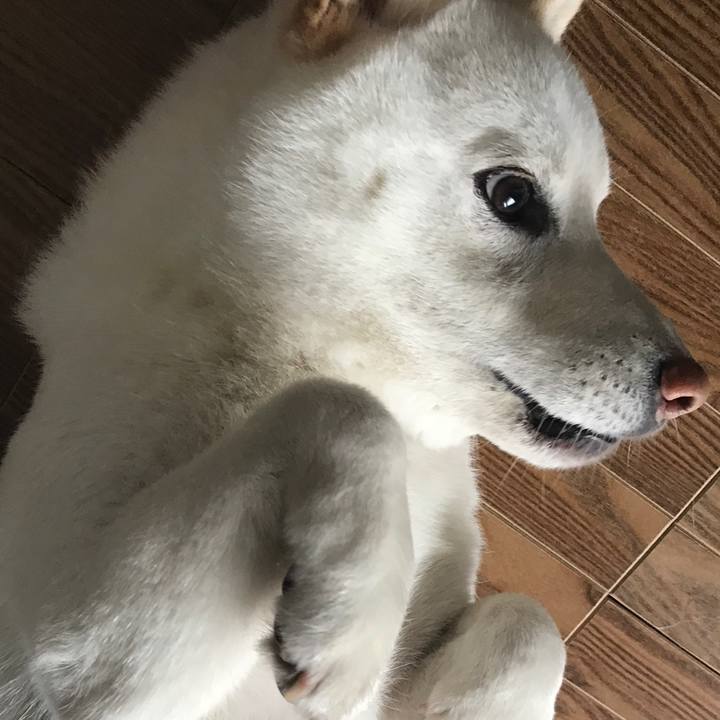 47d3b024 fed9 4698 a1f0 240d0be84a4f