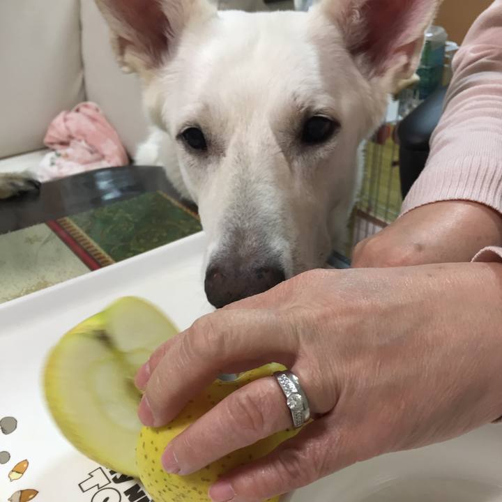 47d3e746 afa4 4ca5 92eb 796c84984319