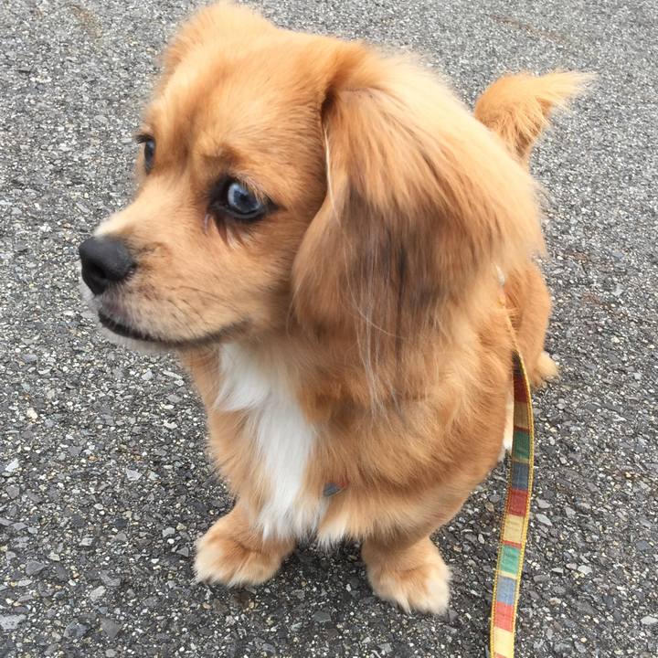 47d47bd8 024b 4232 a0e2 263891633068