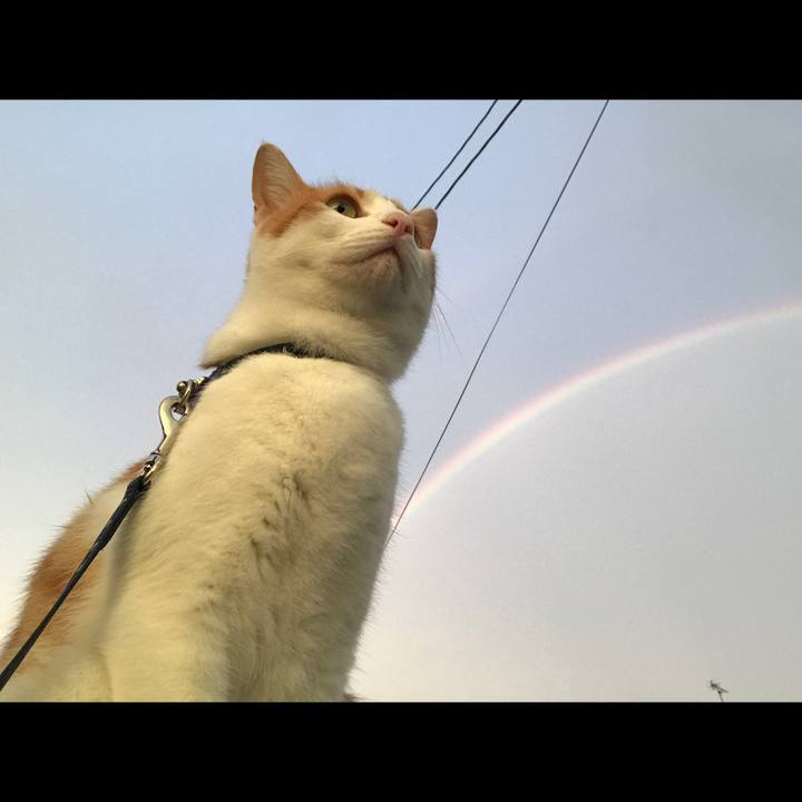 47d4e051 9a92 4b53 a988 ee4329ab78bc