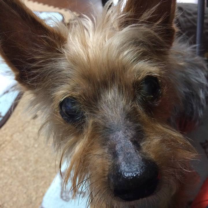 47d5667a 38fb 43fd 874b 7eac13d577f6