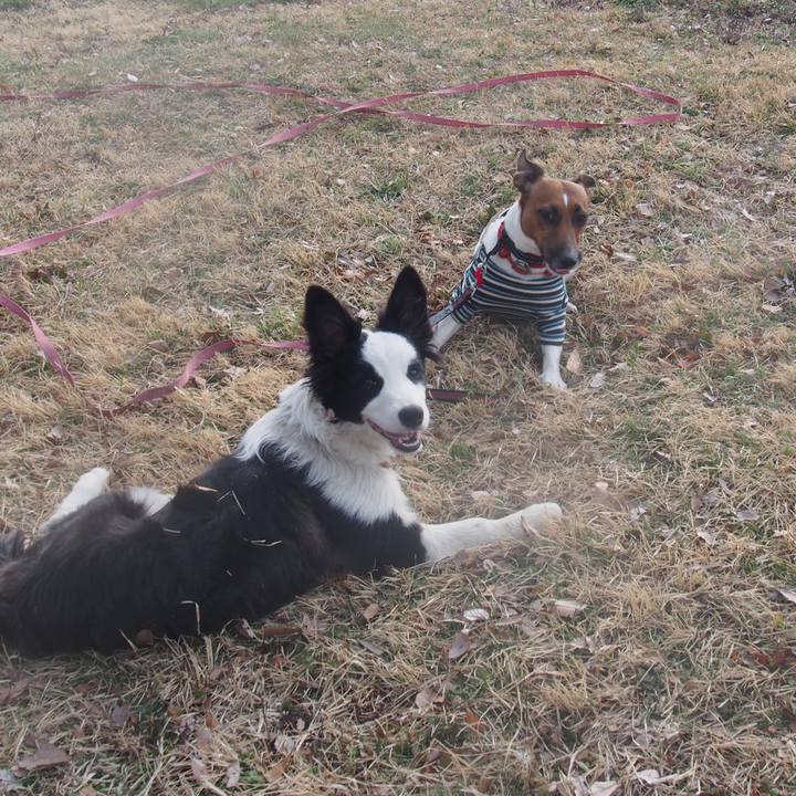 47d5aed6 9941 4f1e 9140 adaf378bc020