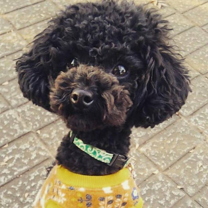 47d5d022 8406 4f5e b034 ea73cddded52