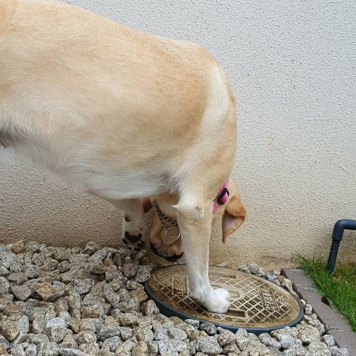 47d5e2f6 2900 4a4b a455 2fa52ccee93b