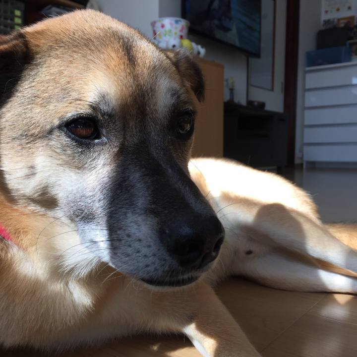 47d5f036 9f53 4bd6 9898 5a768ff09606