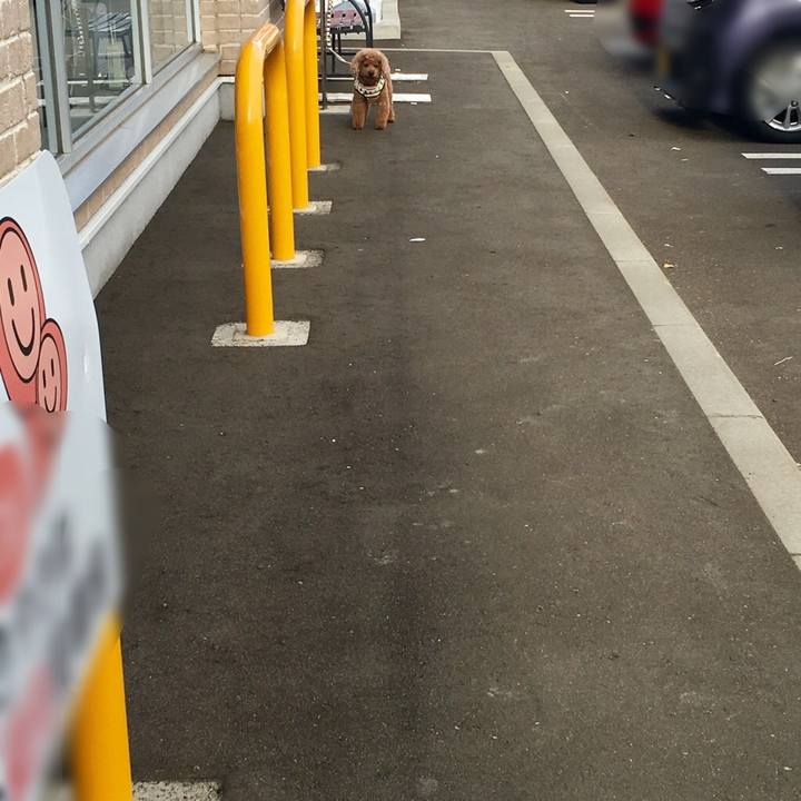 47d63ebf 2751 47e3 9465 24d4cab5549a