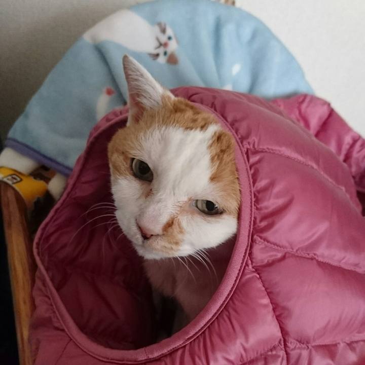 47d6403a bc5e 4fe8 92ad cf33464809f4