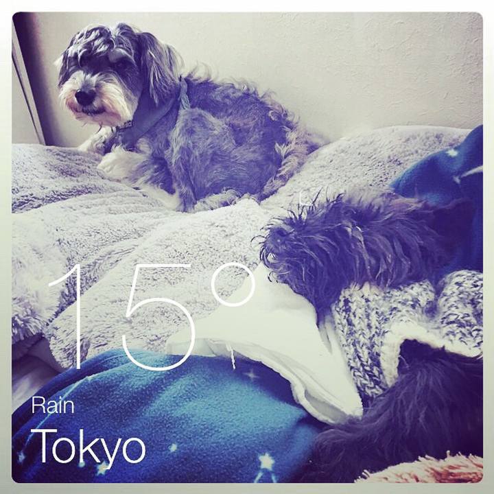 47d65731 4e09 4ae9 a65a 9c44b193dd09