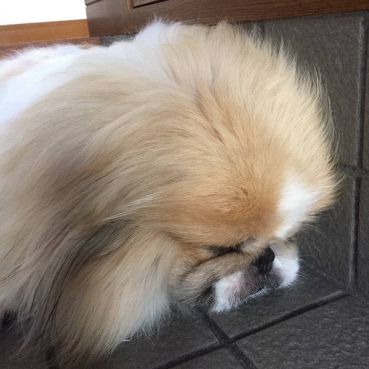 47d67292 d9bd 4cfa 8bc3 6cebdc386b28