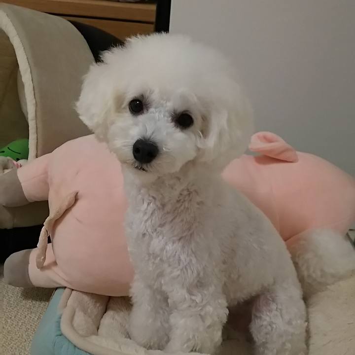 47d69ec7 1c56 4664 afab a00369f67a22