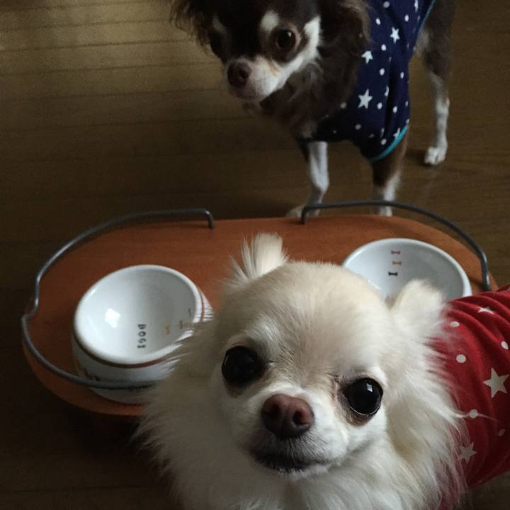 47d79d2d b8ed 4053 ad12 851503146e34