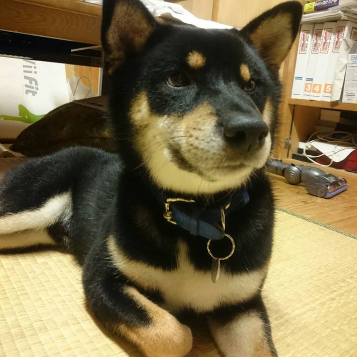 47d7db9d f32f 4e64 8d02 155f99708b00