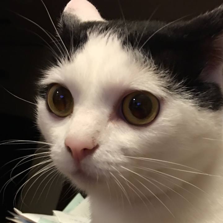 47d82560 abb9 4d2a b212 1d87cd9db35f