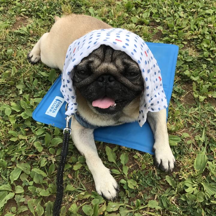 47d851fd 8a08 4008 ab89 58e4ba966404