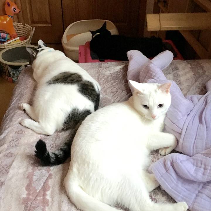 47d8901f a2ce 458e b874 3ce84a9d7378