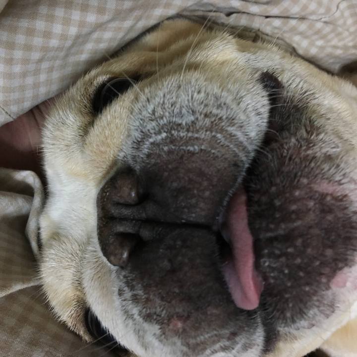 47d90acf 9128 46d1 879d 37f824145d87