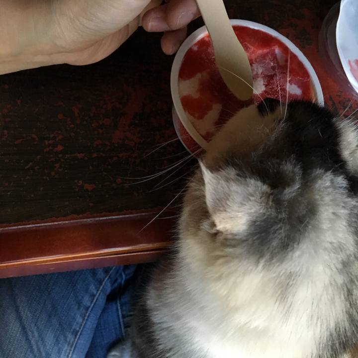 47d98d37 edef 405d b4a2 4ecb86c53ee0