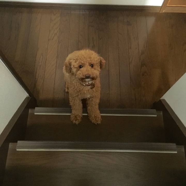 47da3031 cde9 4fdd b715 a150bc183867