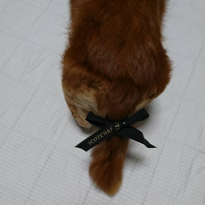 47db44fa c8ef 4b36 8889 51f2ebcbd8e0