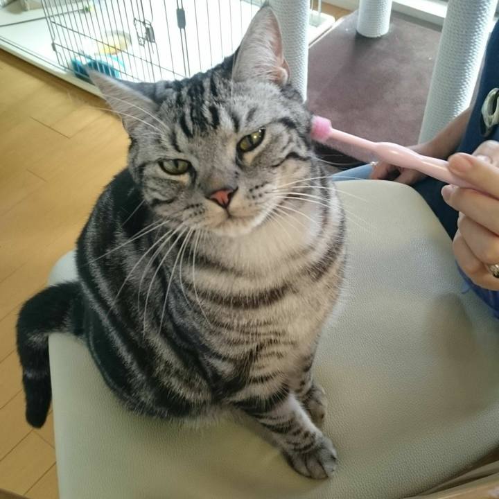 47dbcba6 b04f 43a9 8843 8a6a4d4a5fb4