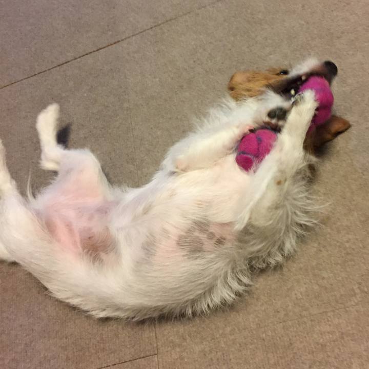 47dbdfa2 cf45 4a18 96d1 367a7bc8f4fa