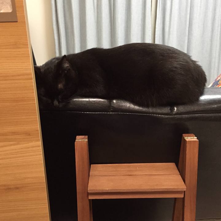 47dc082b 92d8 4f84 acbf e693953e5ac1