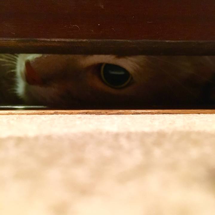 47dc1cb4 4b2c 47ae 8699 6aa8d946eaee