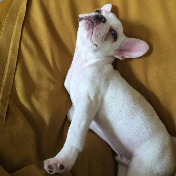 47dc6502 0435 445e 804b aef3cdfdfd4d