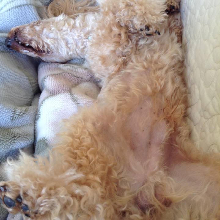 47dd7bb1 4160 4f68 be57 97c373e80564