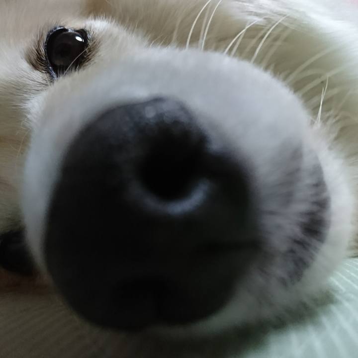 47de5f4a 3984 4e36 ae82 d7afdf7f931d