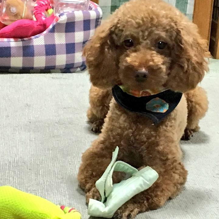 47df0193 ca94 41f2 a75f c99ca111de02