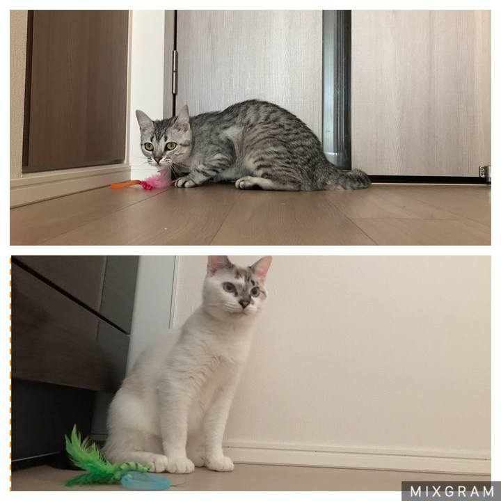 47df01f2 c096 4a14 9019 17787f84dff6