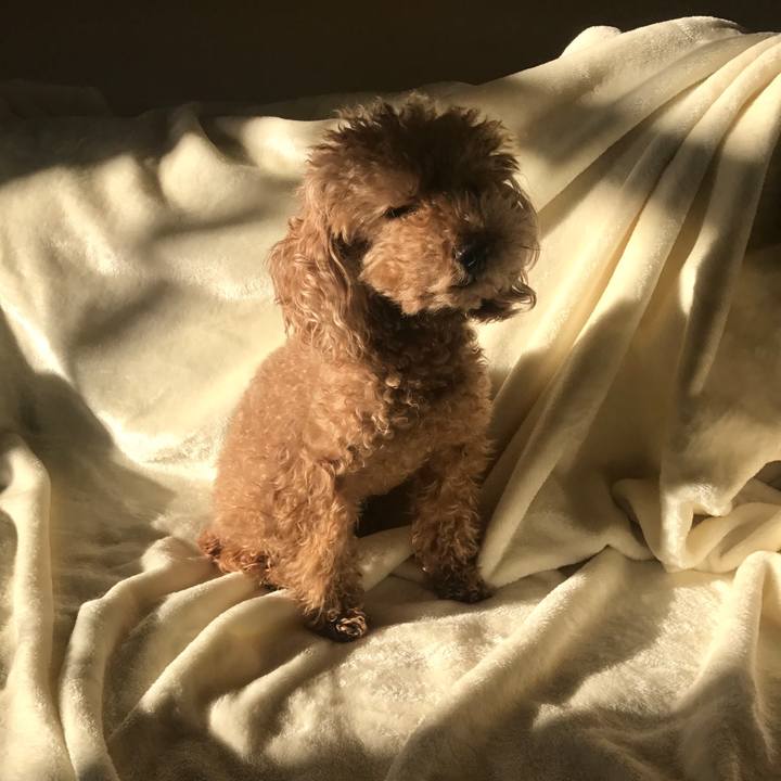 47df7a11 7f82 4253 8471 0c0d4502ae85