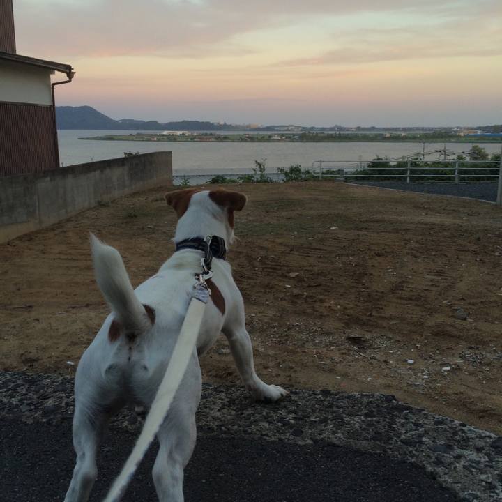 47df9908 d8e0 41ca aa01 4f1819a9c450