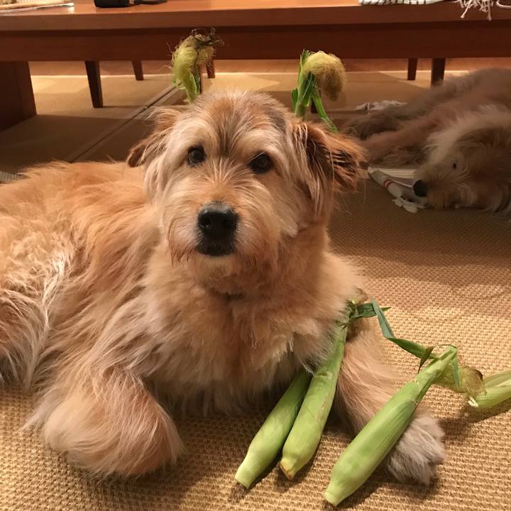 47e02341 4a33 4a5b a97c eedf54fcaf0b