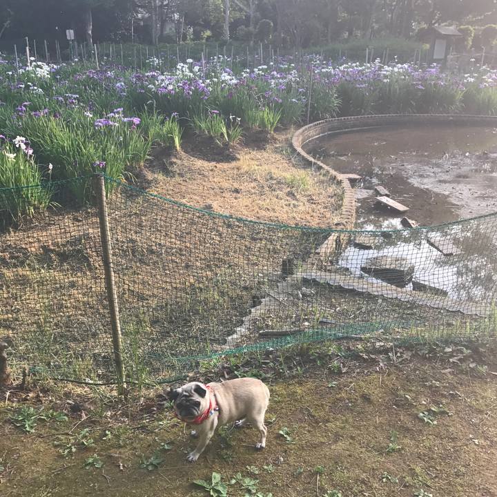 47e03e74 7864 4bb3 85cf 8519f6d08d7f