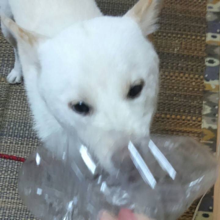 47e18973 051e 4625 a8f0 b9644bd56633