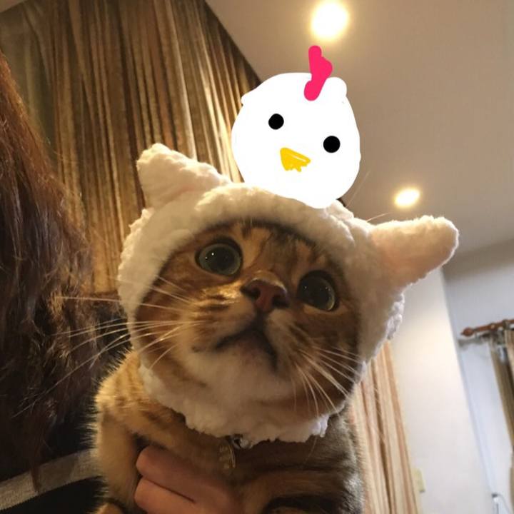 47e1e580 ce44 41fc 9a11 baf32c4fa950