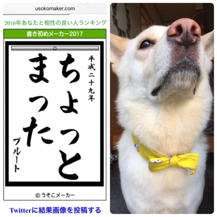 47e1ee25 ac67 46ca 8b9c ac3d606a730b