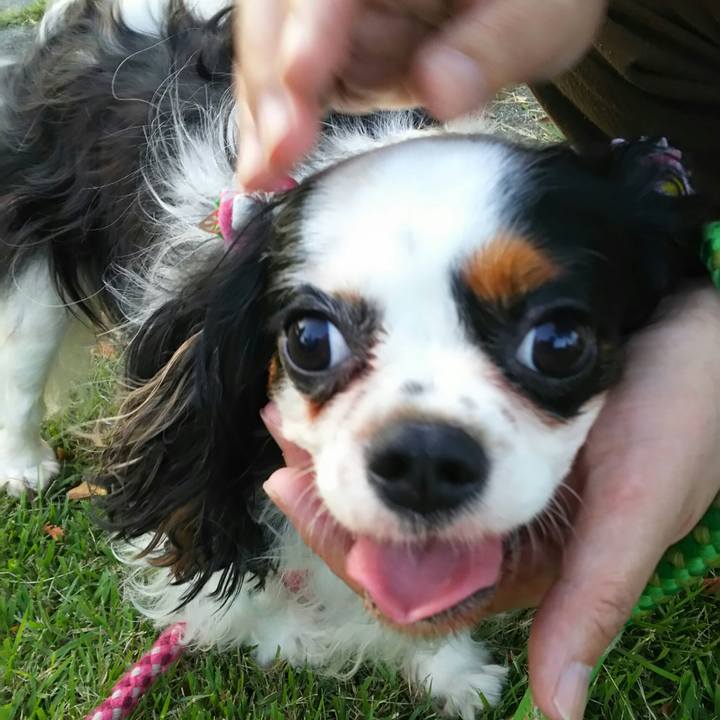 47e1ee7c d104 4dfc 8f10 454f3931faff